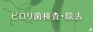 ピロリ菌検査・除去